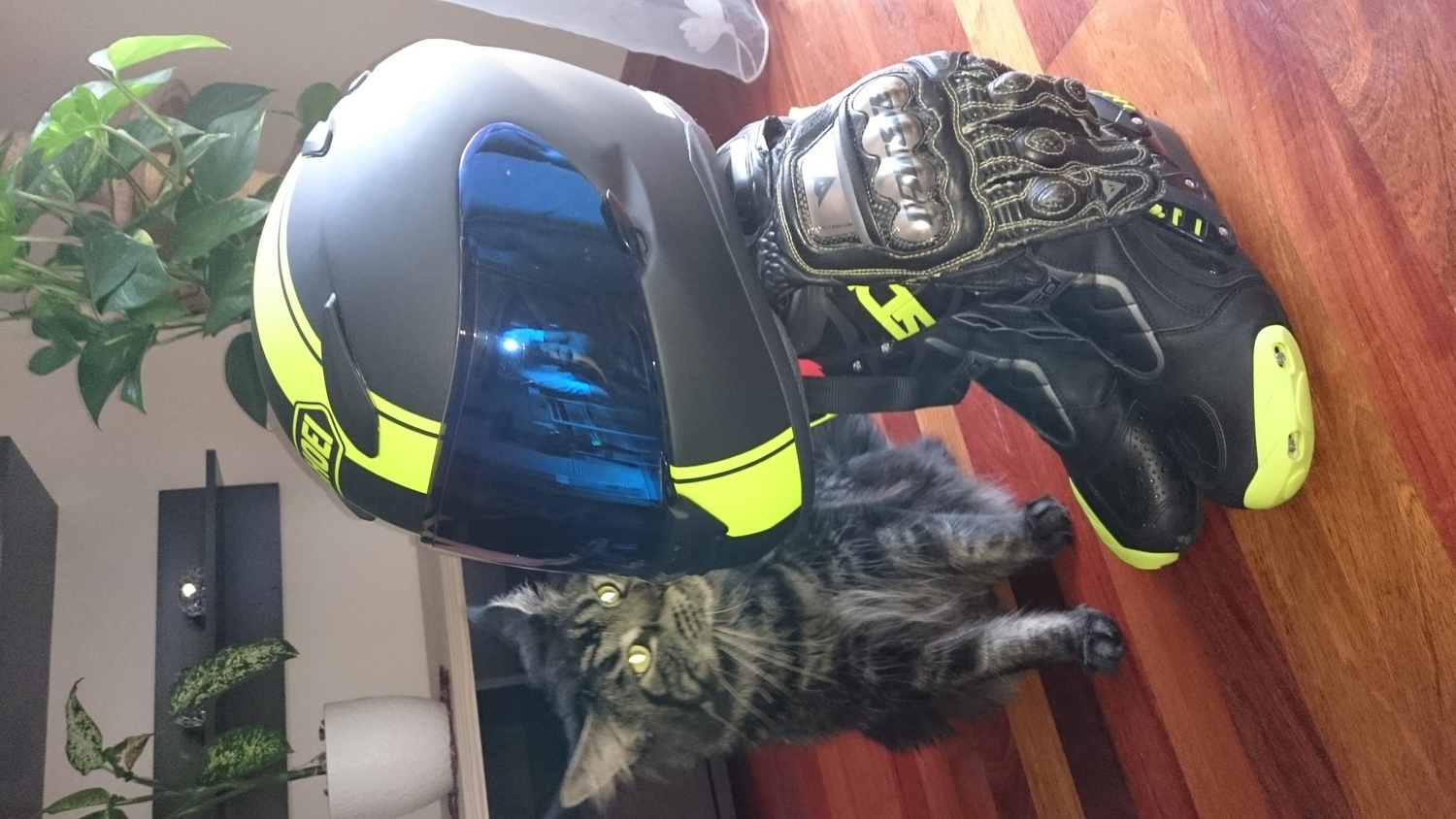 Photo 2793911