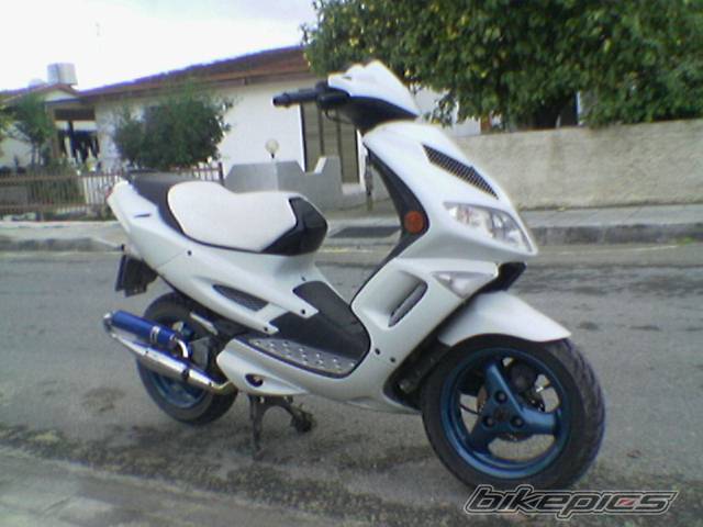 Photo 279394