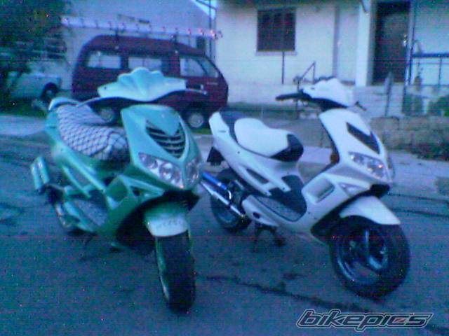 Photo 279395