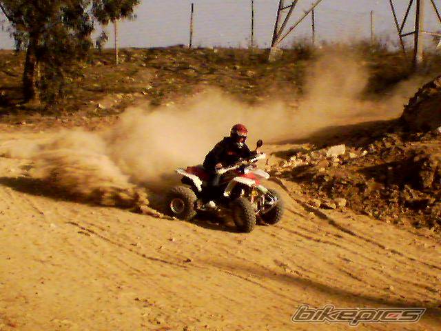Photo 279400