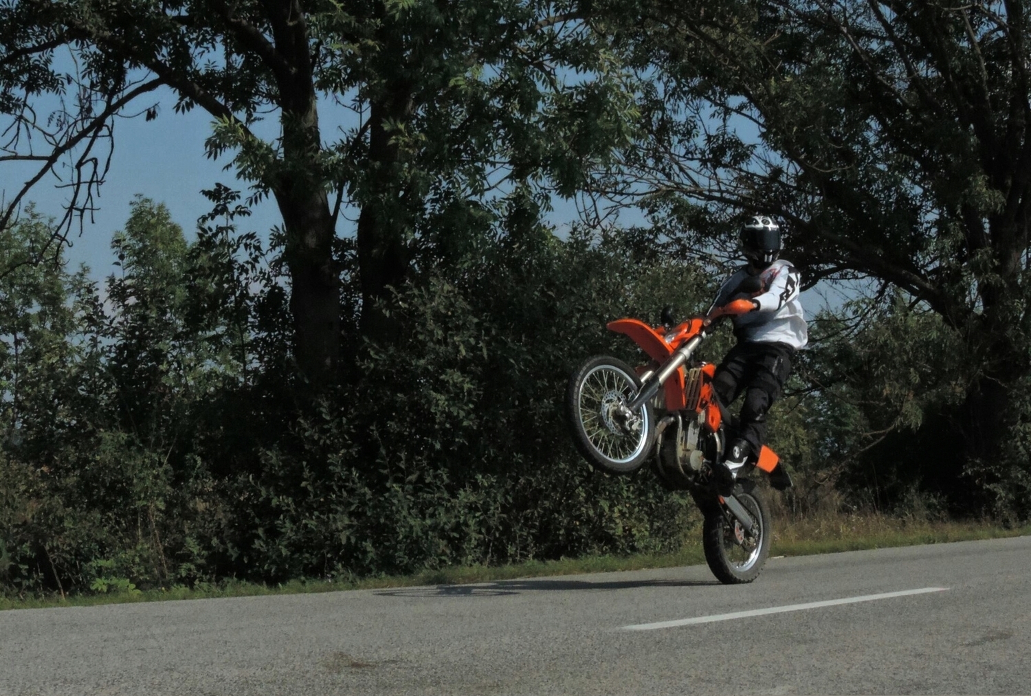 Photo 2794020