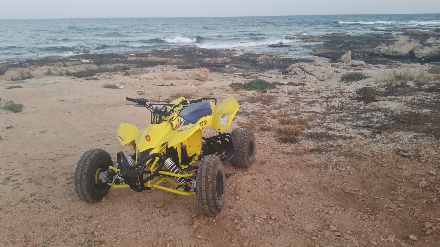 LTR 450