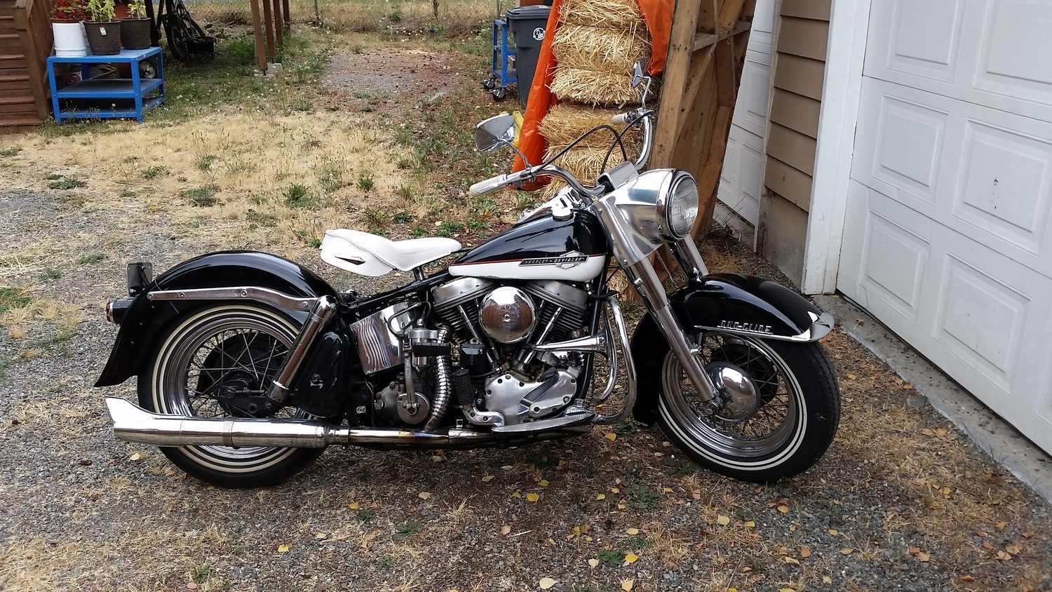 Photo 2794079