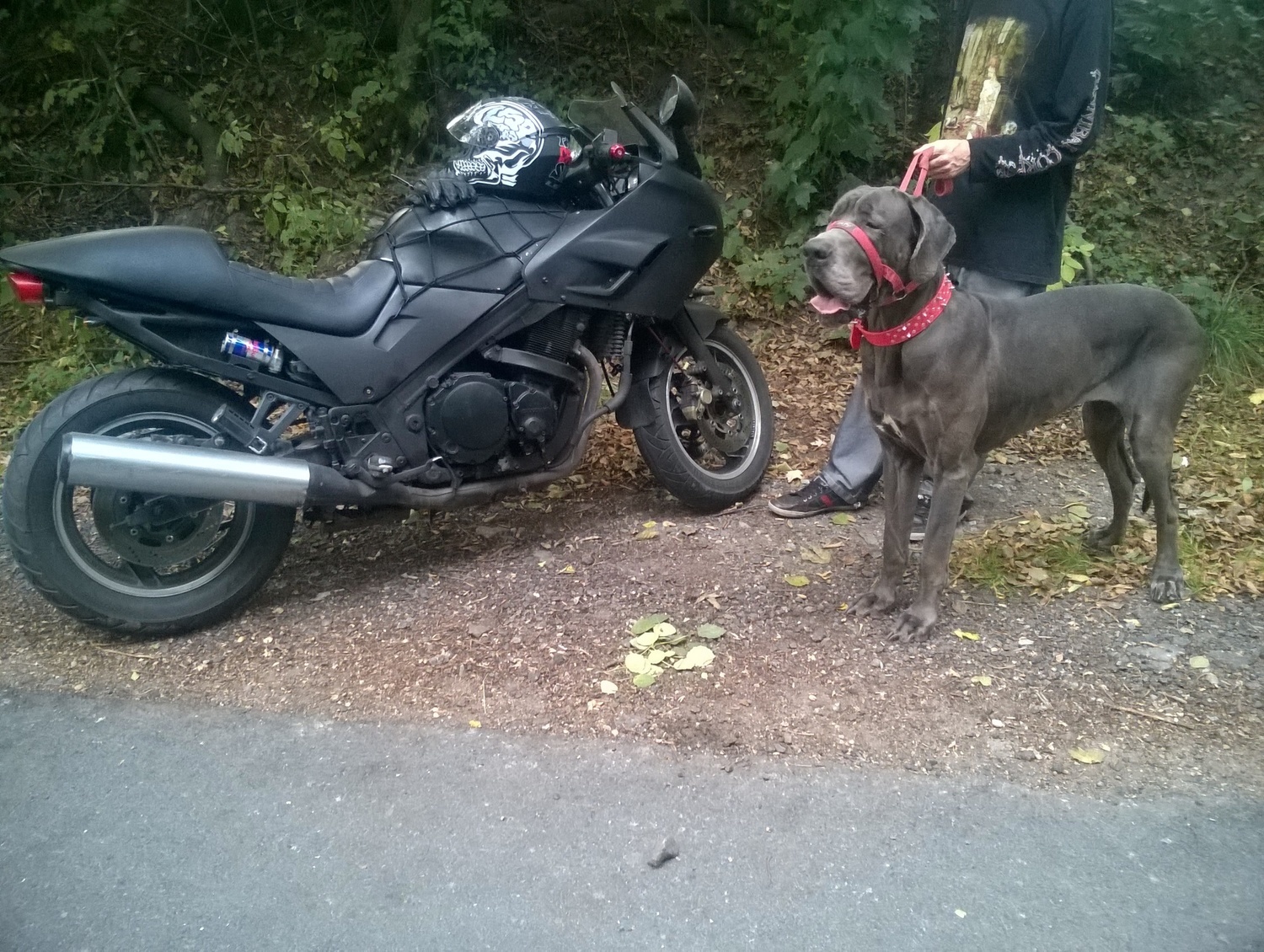 Photo 2794154