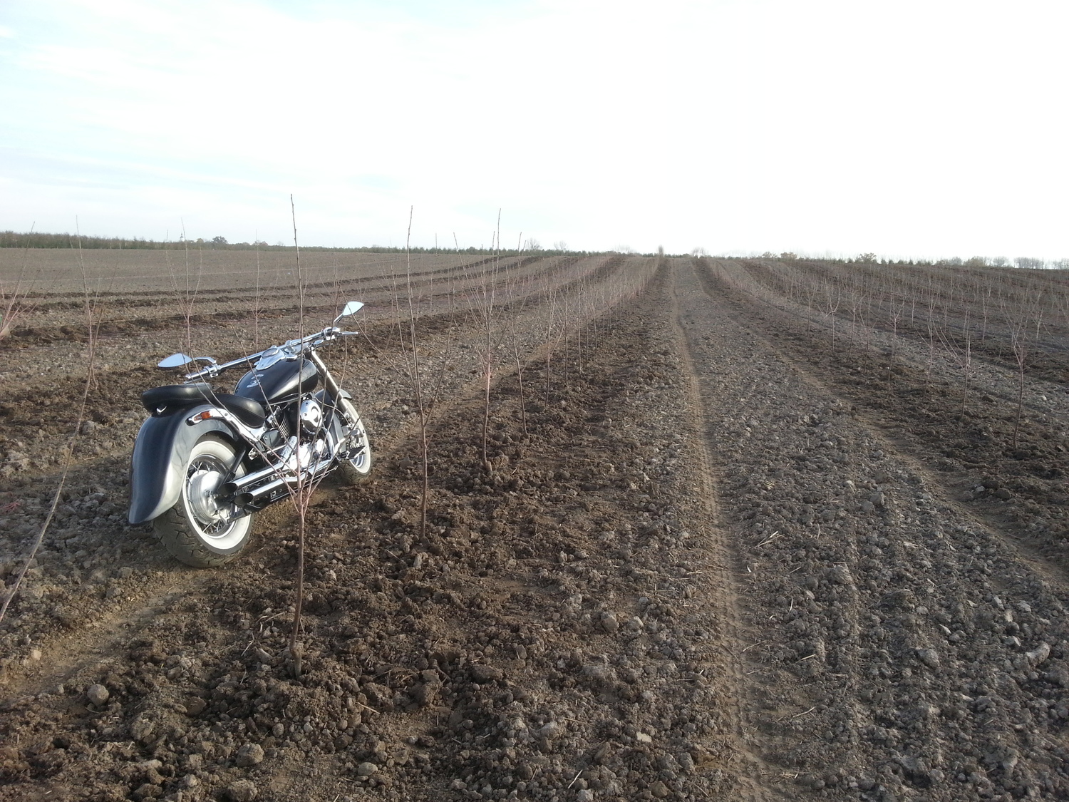 Photo 2794186