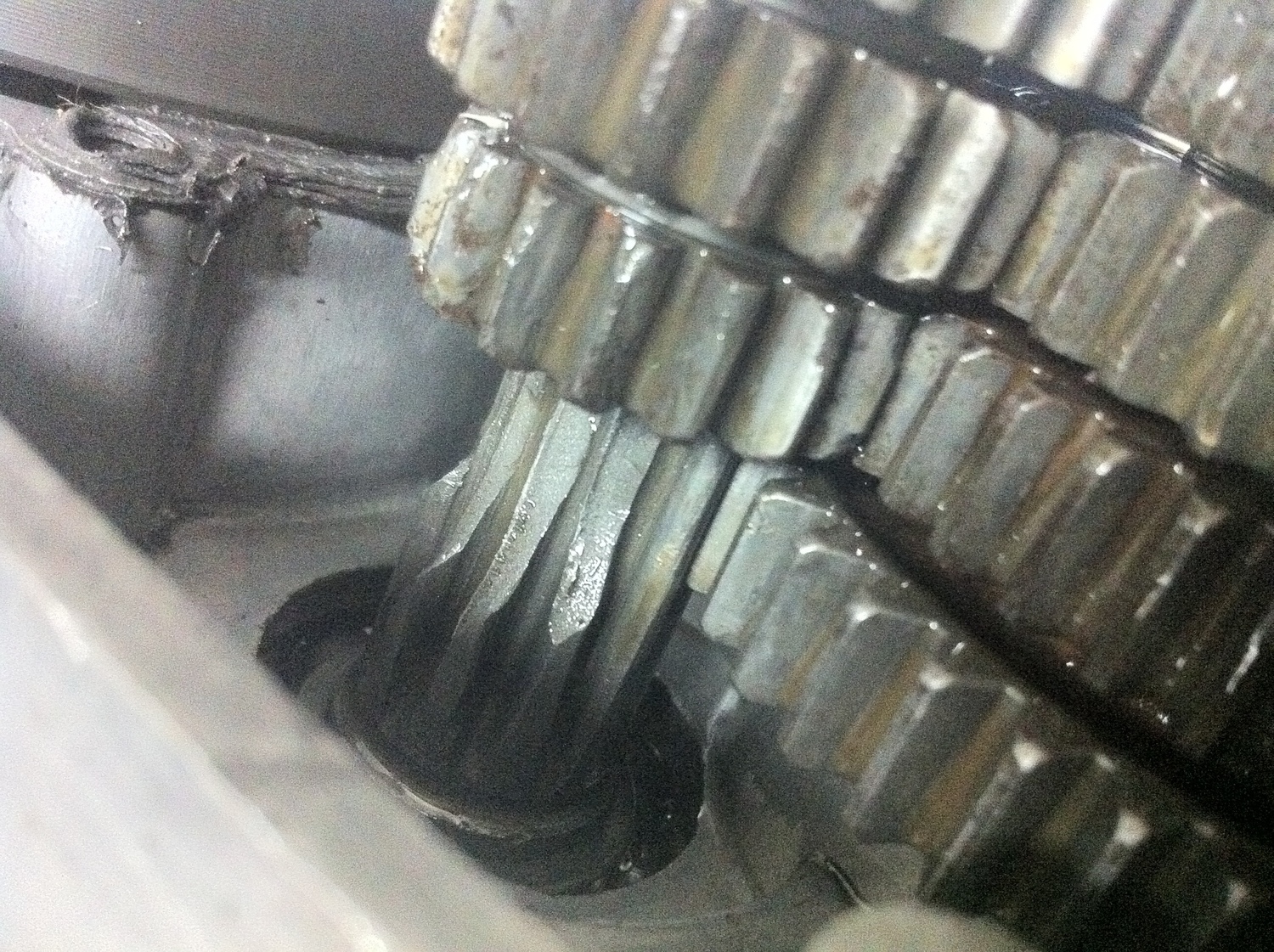 Photo 2794220