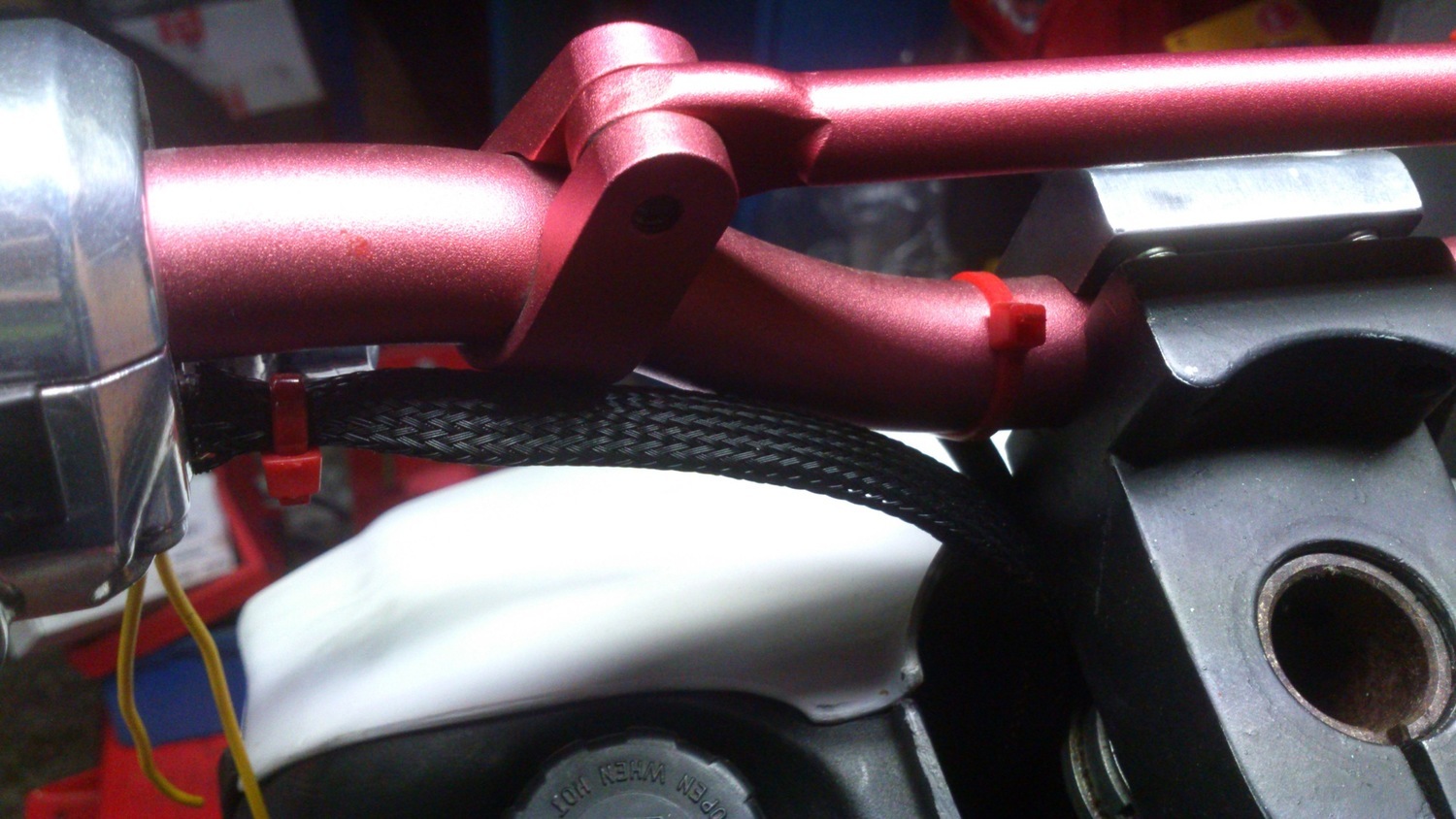 Photo 2794246