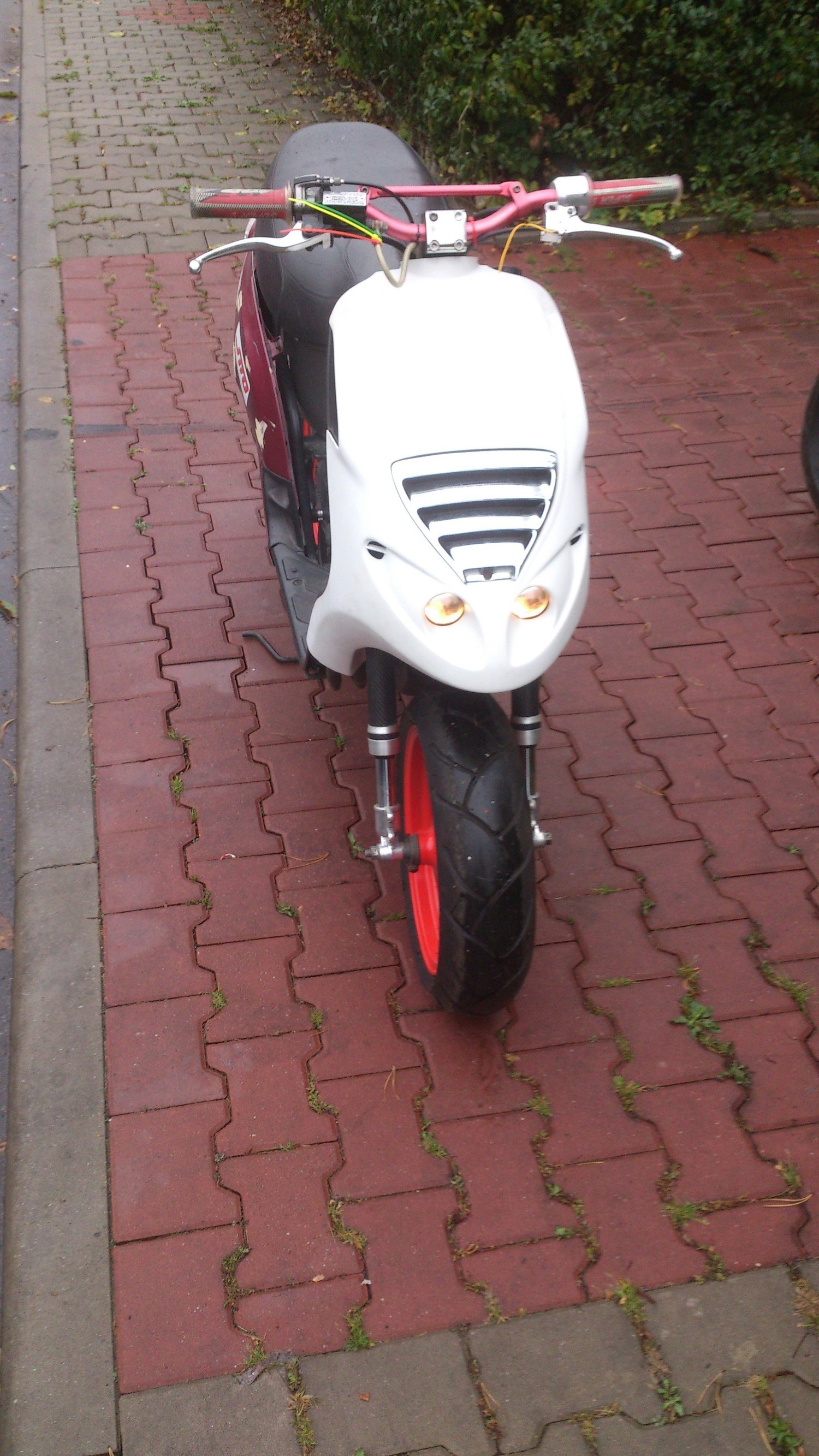 Photo 2794249