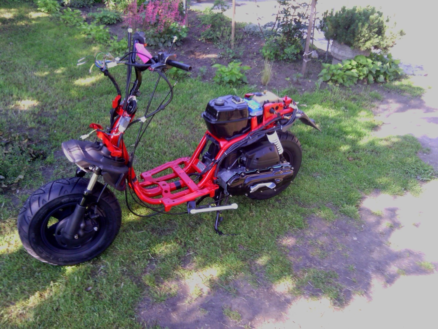 Photo 2794303