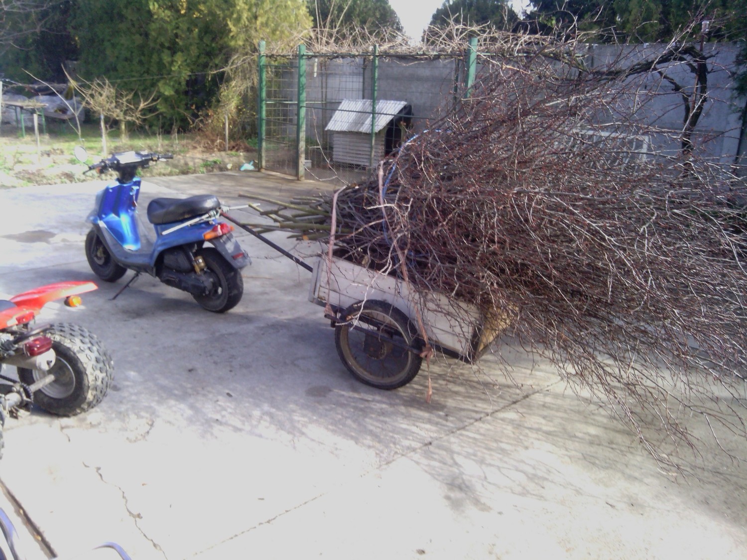 Photo 2794321