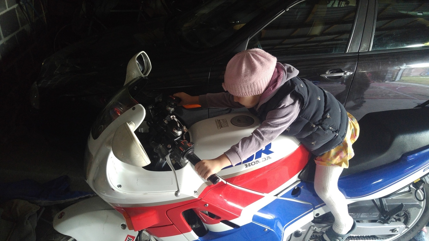 Photo 2794433