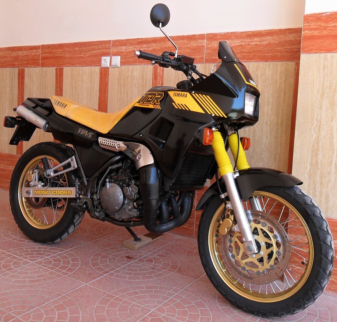 Photo 2794491