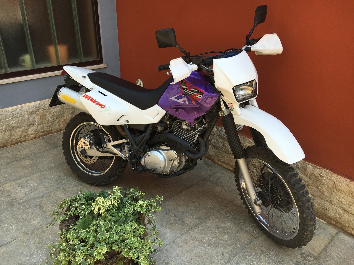 Photo 2794538