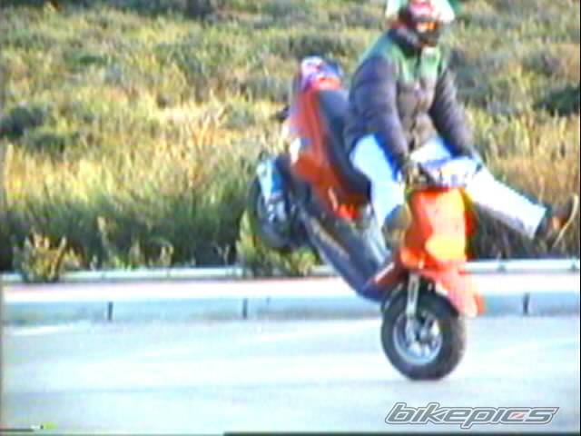 Photo 27946