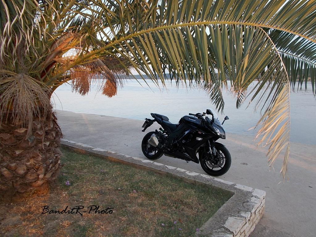 Photo 2794606