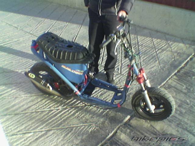 Photo 279464