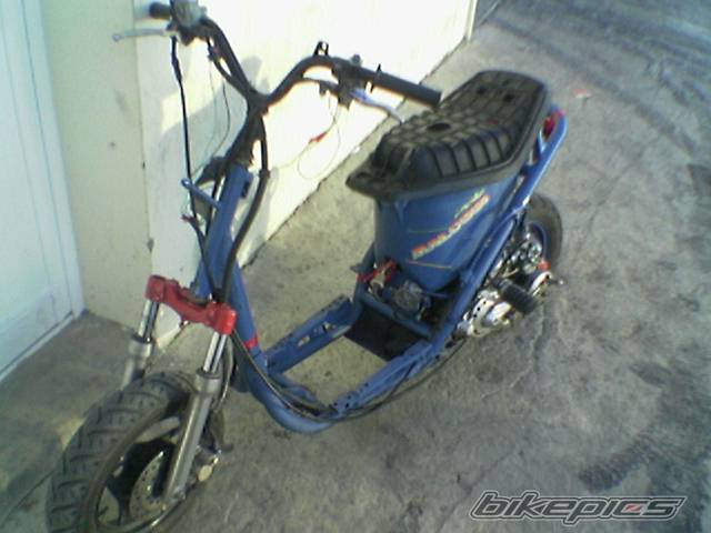 Photo 279465