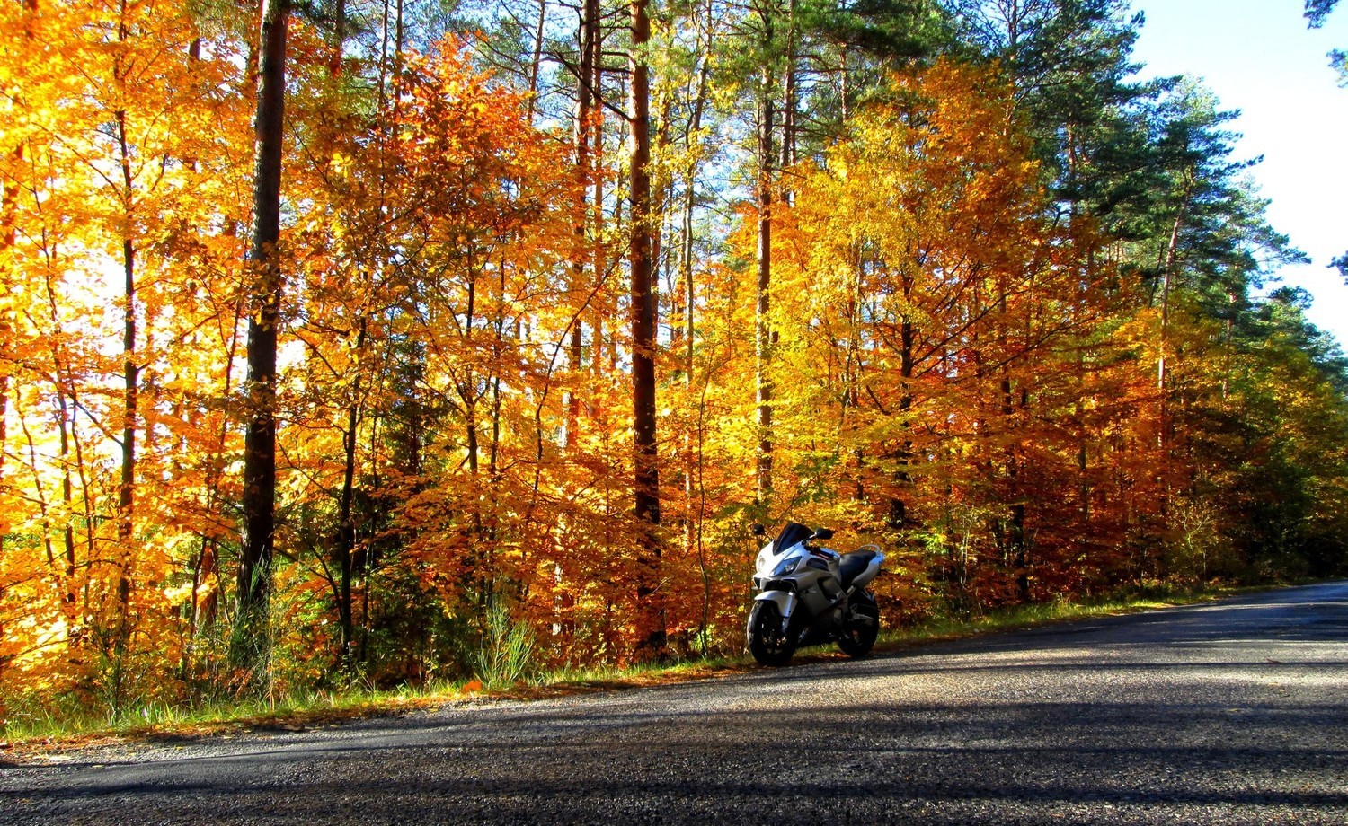 Bike Photo 2794694
