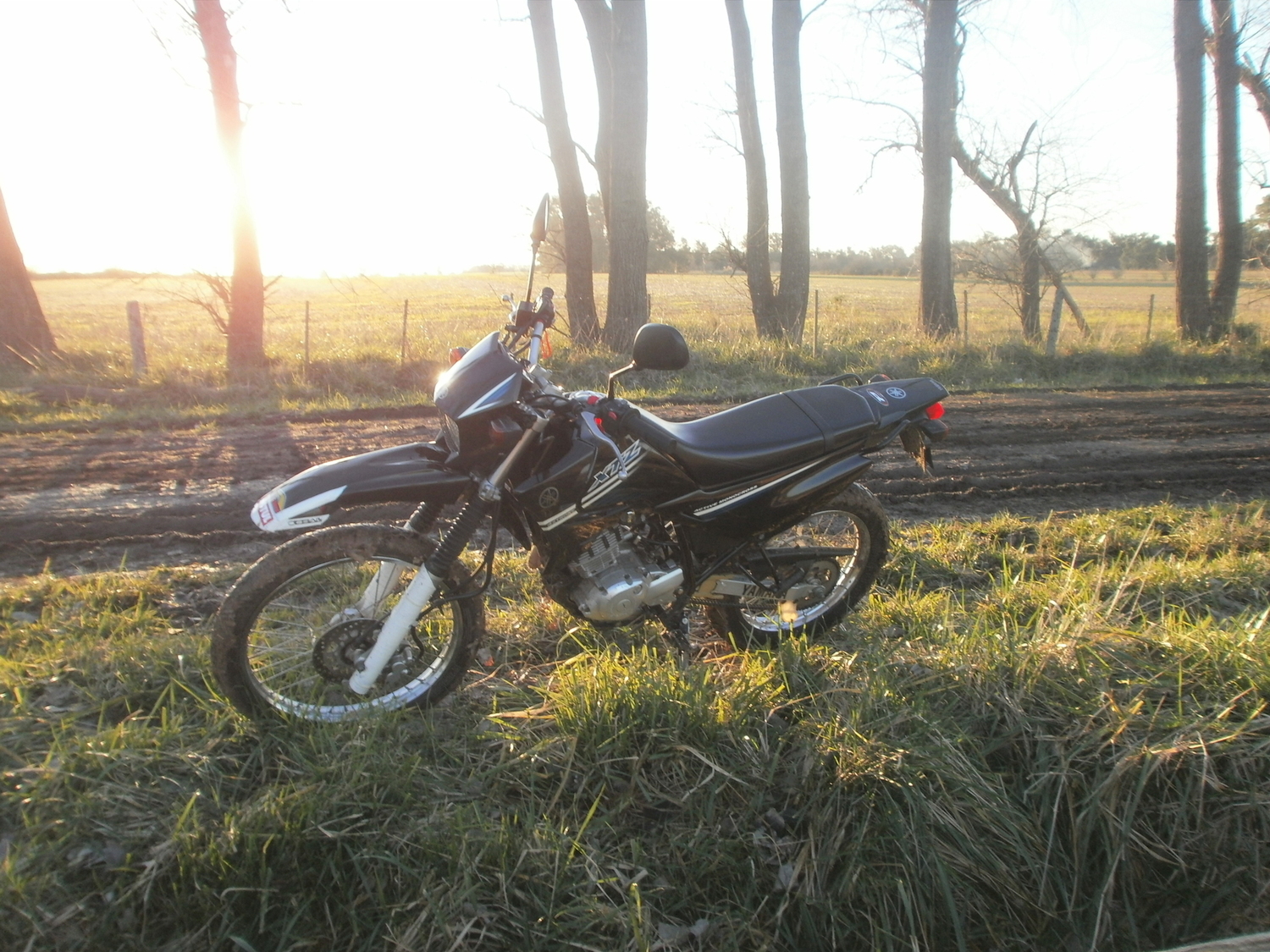 Photo 2794705