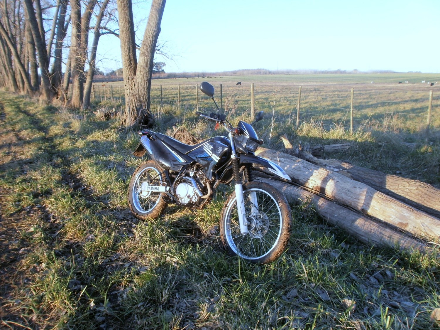 Photo 2794706