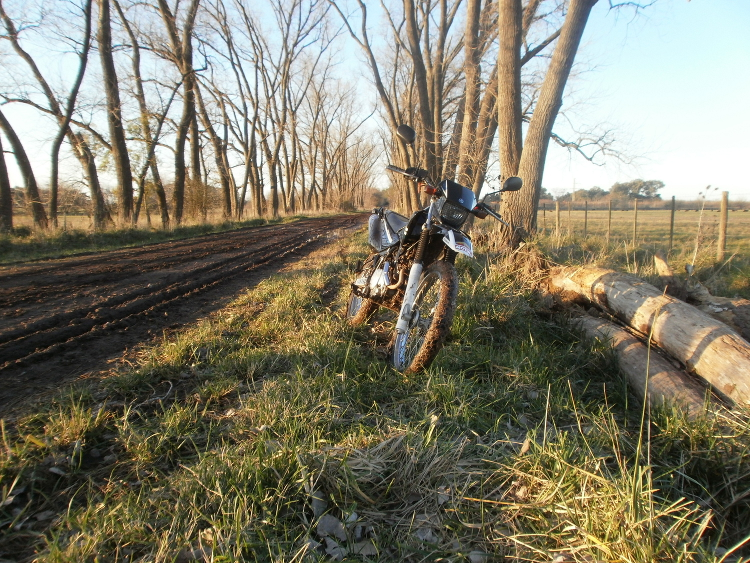 Photo 2794707