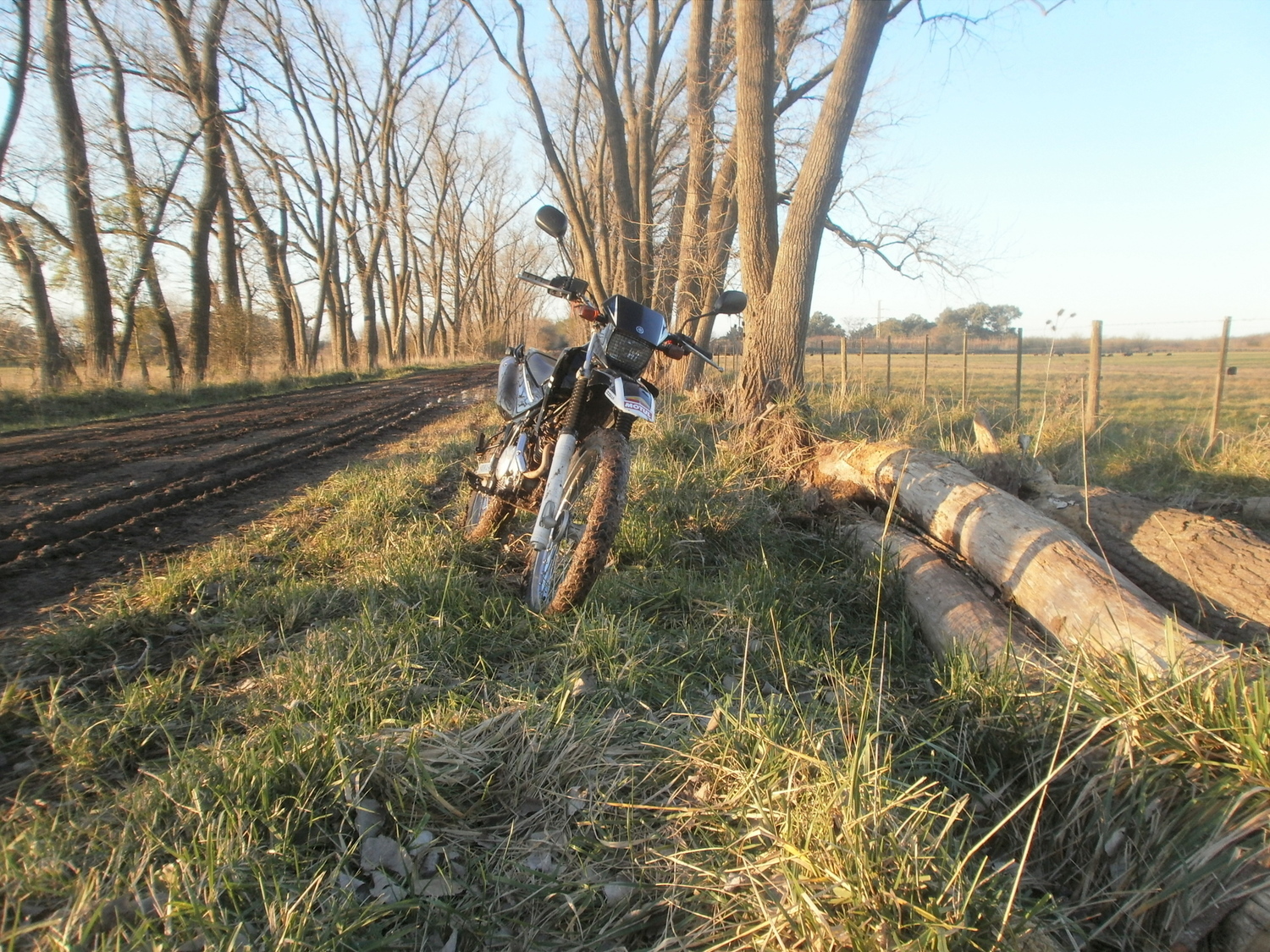 Photo 2794708