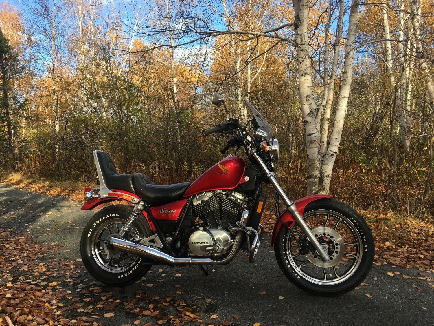 Photo 2794741