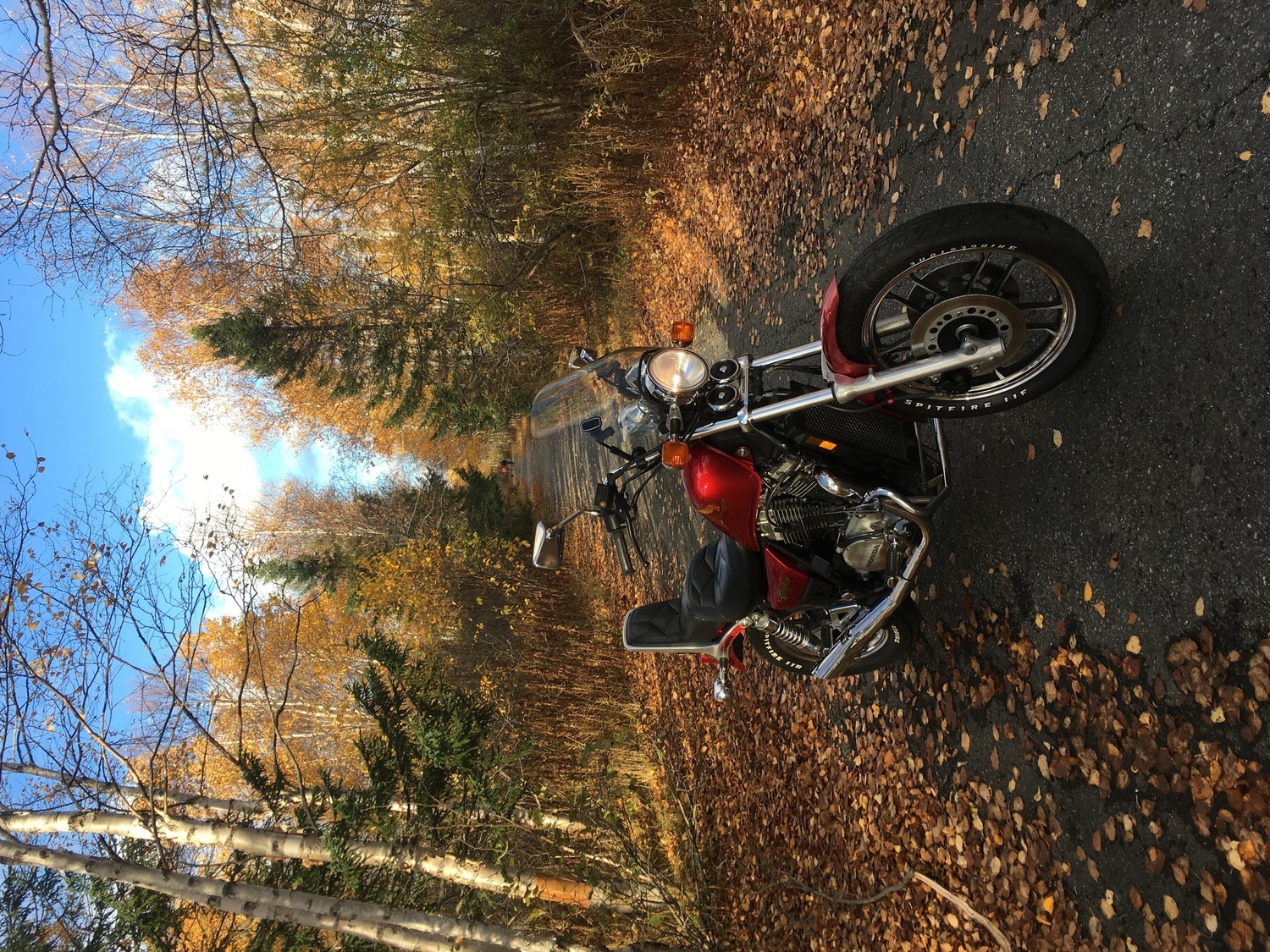 Photo 2794742
