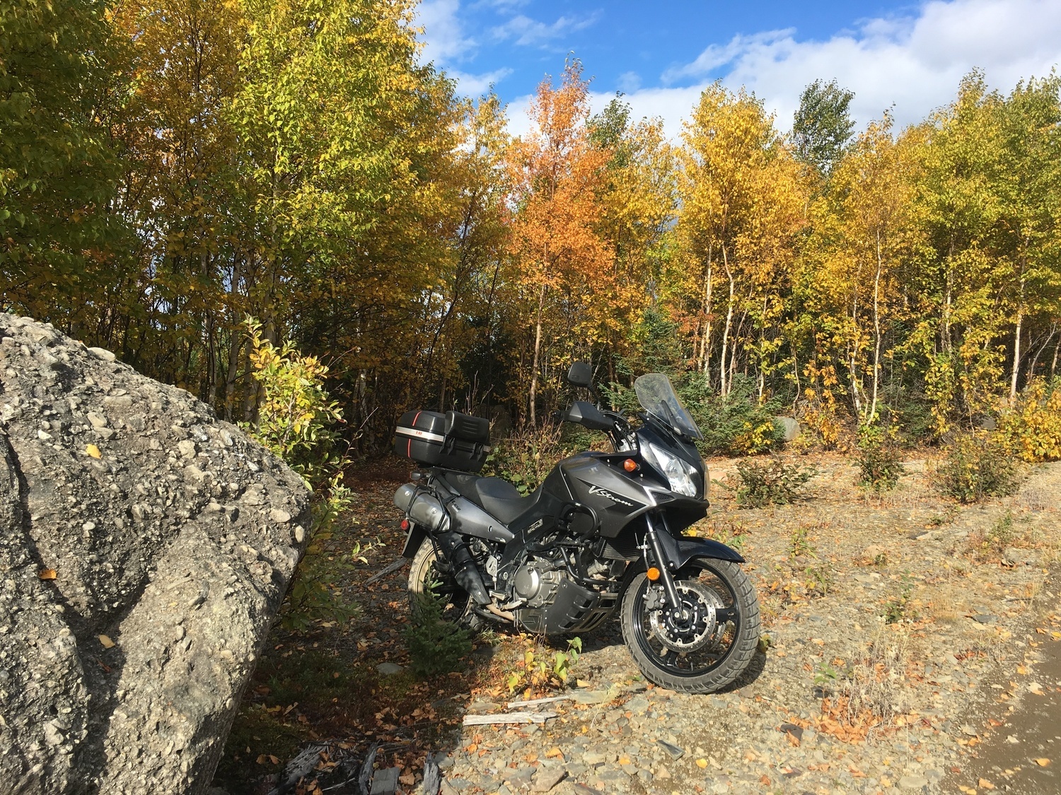Photo 2794743