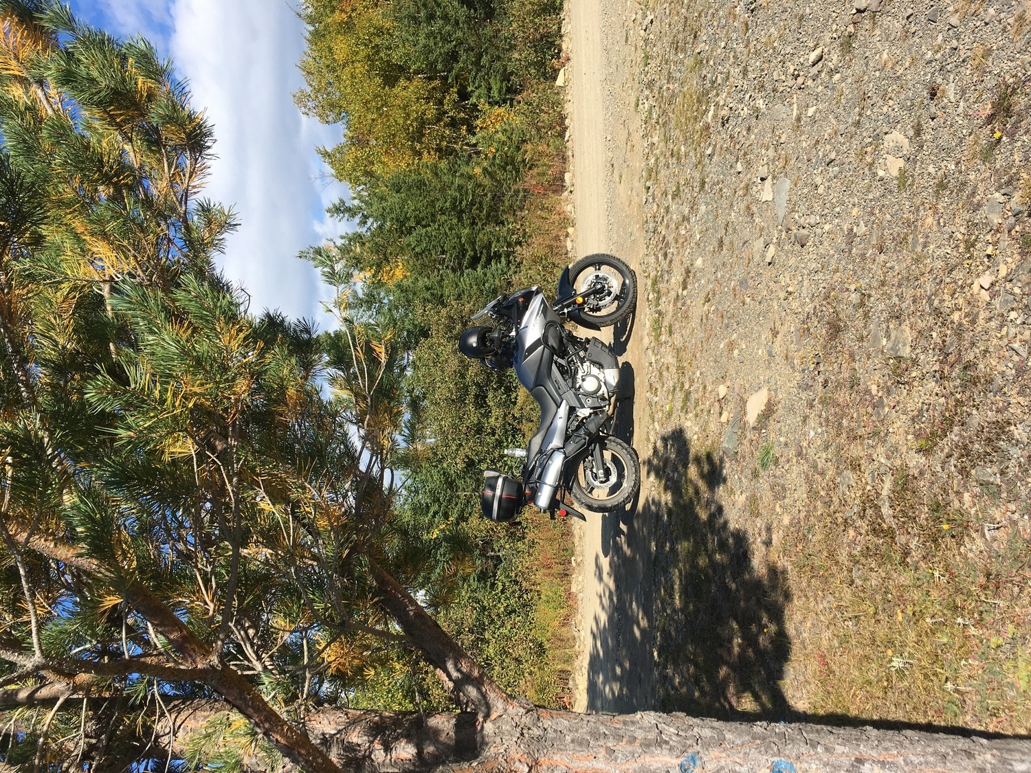 Photo 2794744