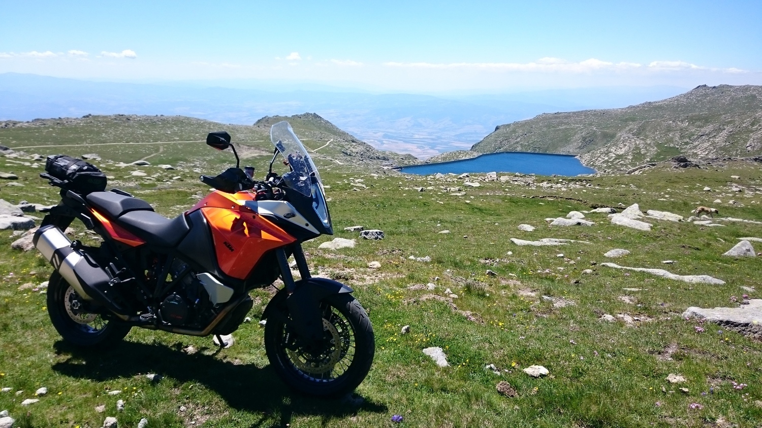 Photo 2794777