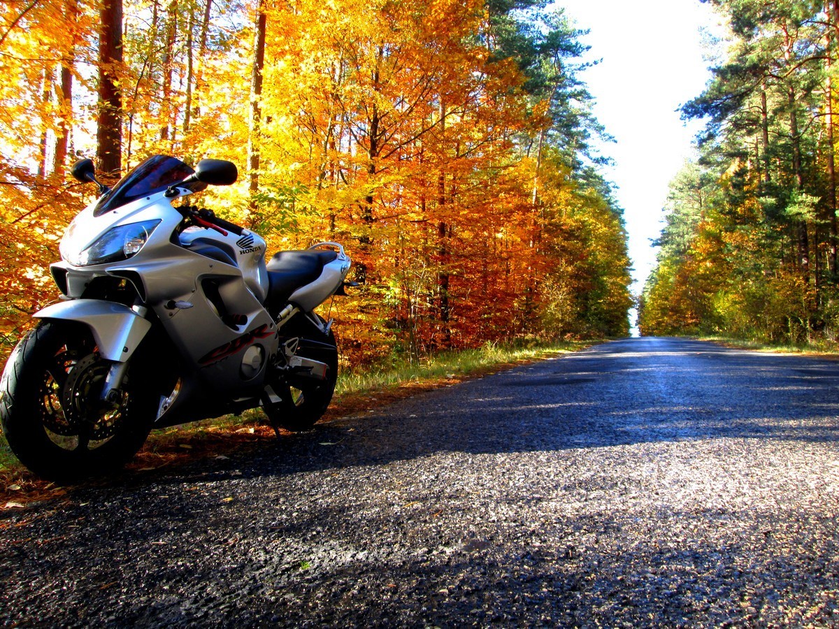 Bike Photo 2794798