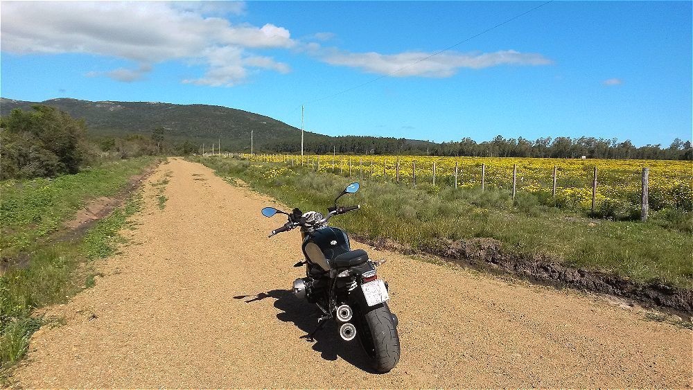 Bike Photo 2794814