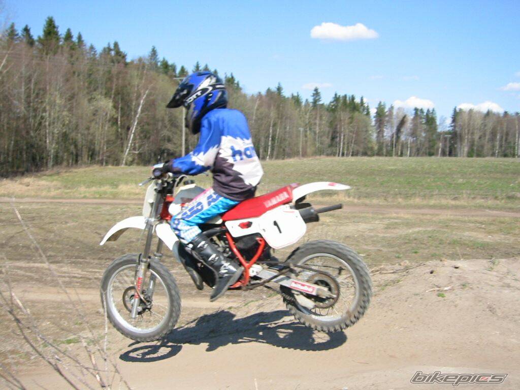 Photo 279483
