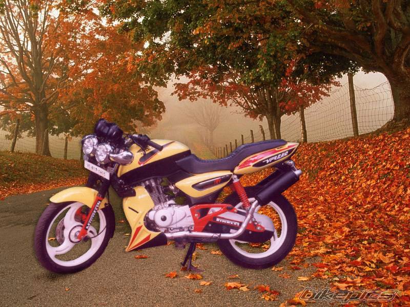 Bike Photo 279488
