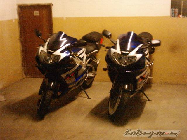 Photo 279496