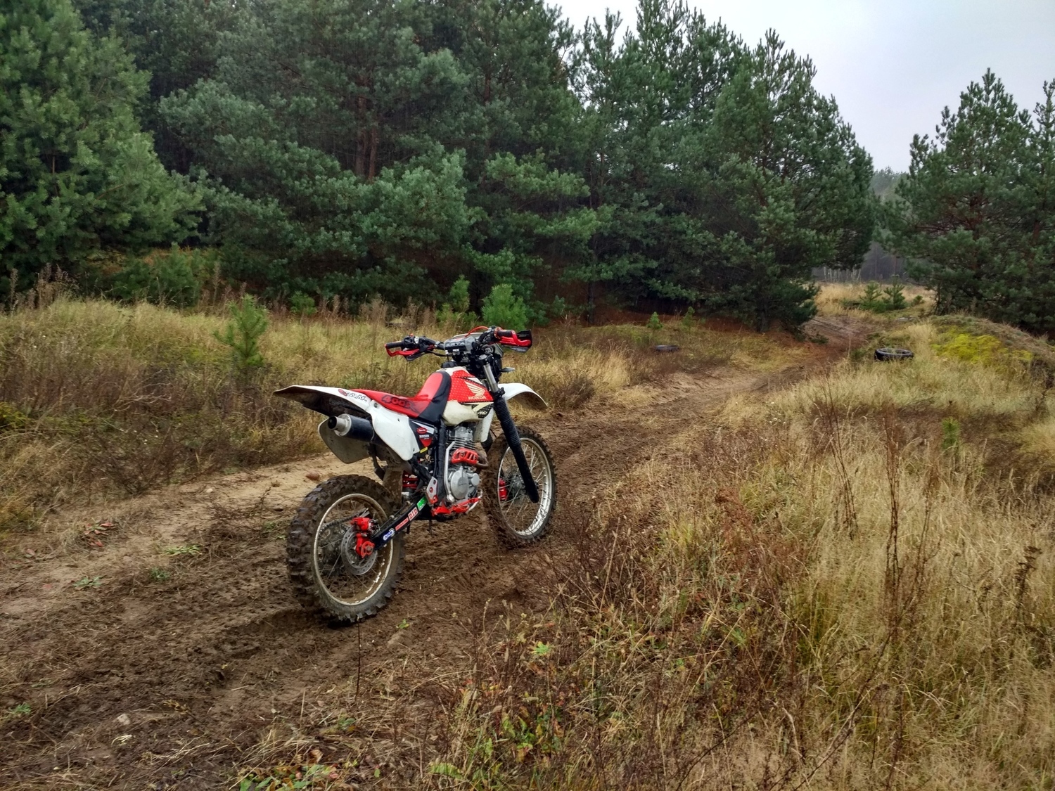 Photo 2794991