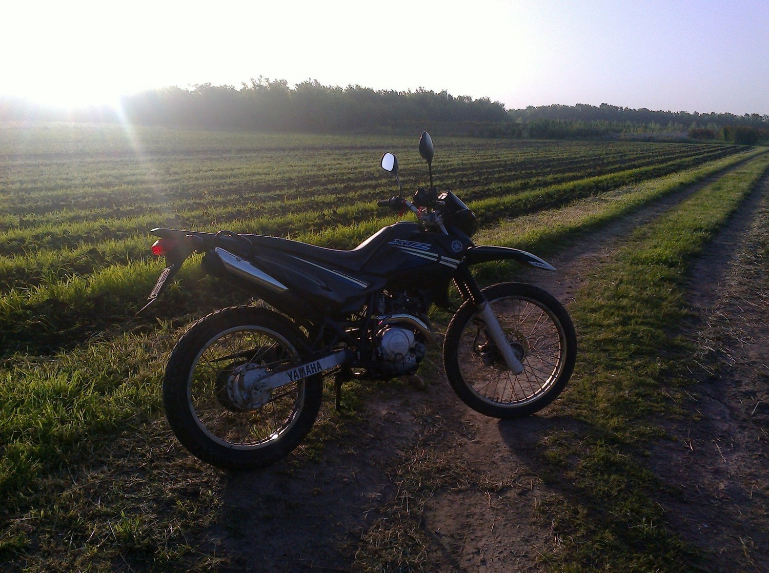 Photo 2795031