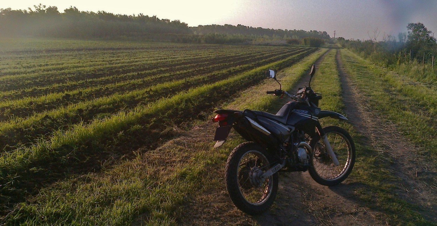 Photo 2795033