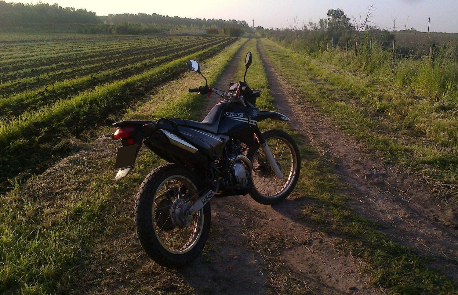 Photo 2795034