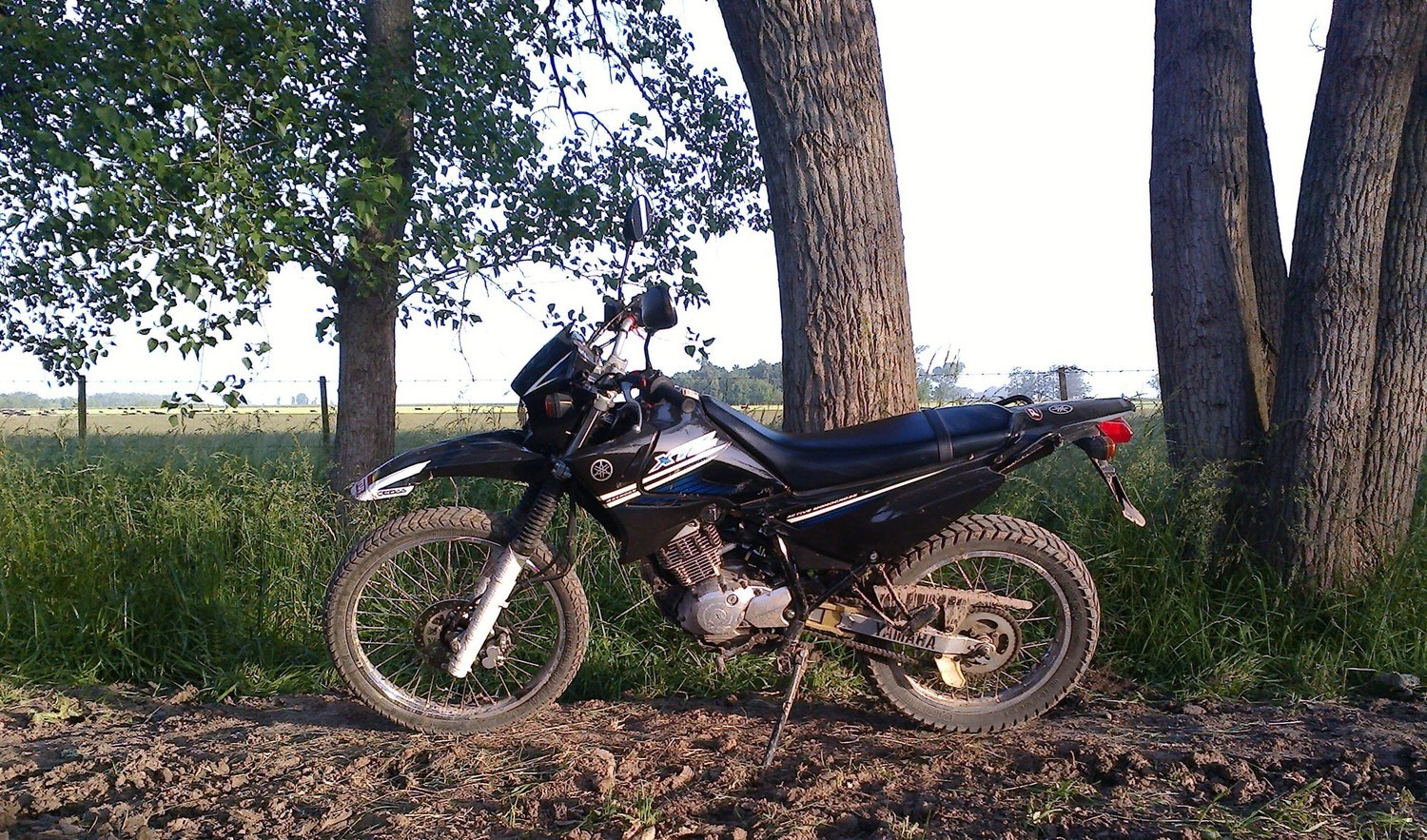 Photo 2795035