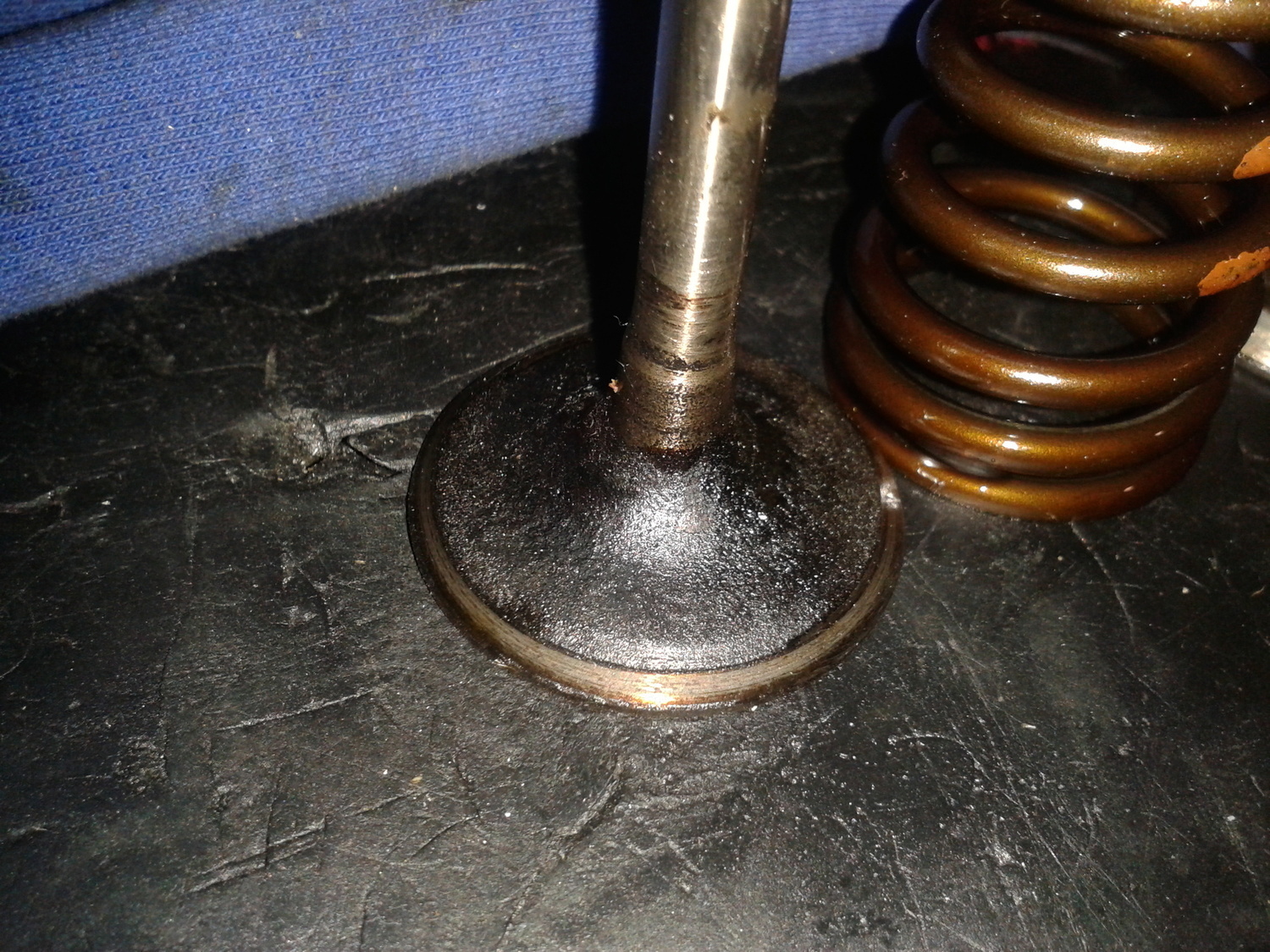 Photo 2795113