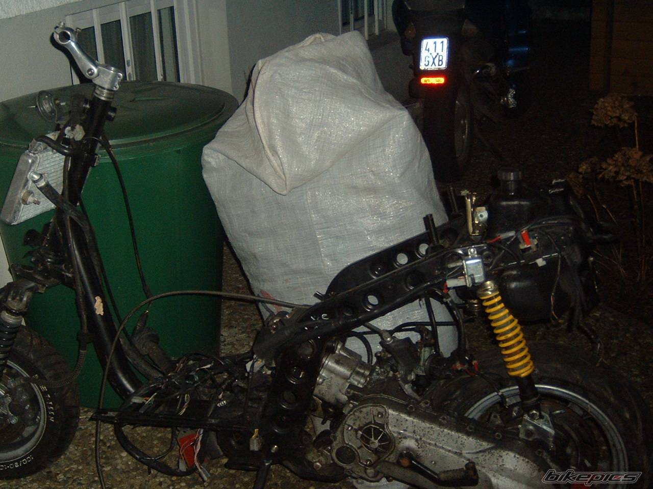 Photo 279513