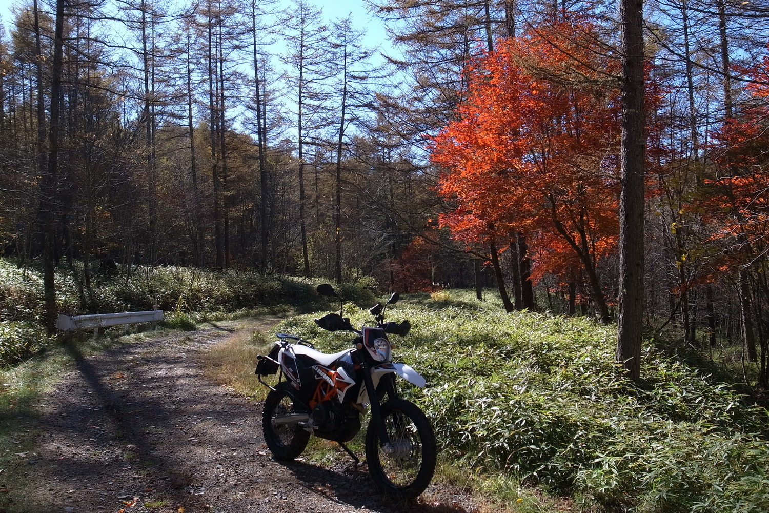 Bike Photo 2795167