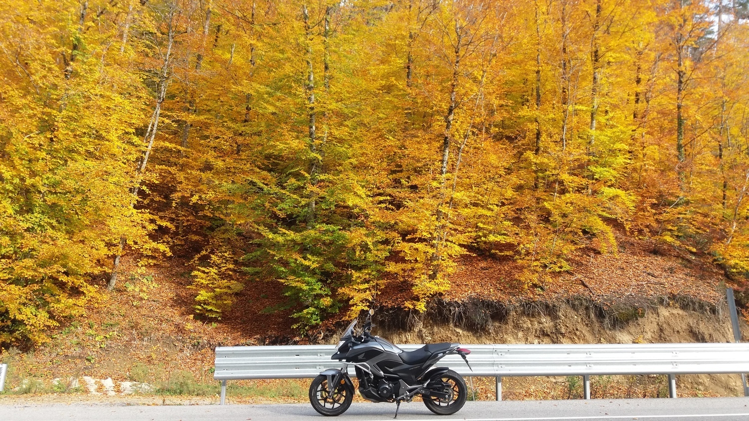 Bike Photo 2795231