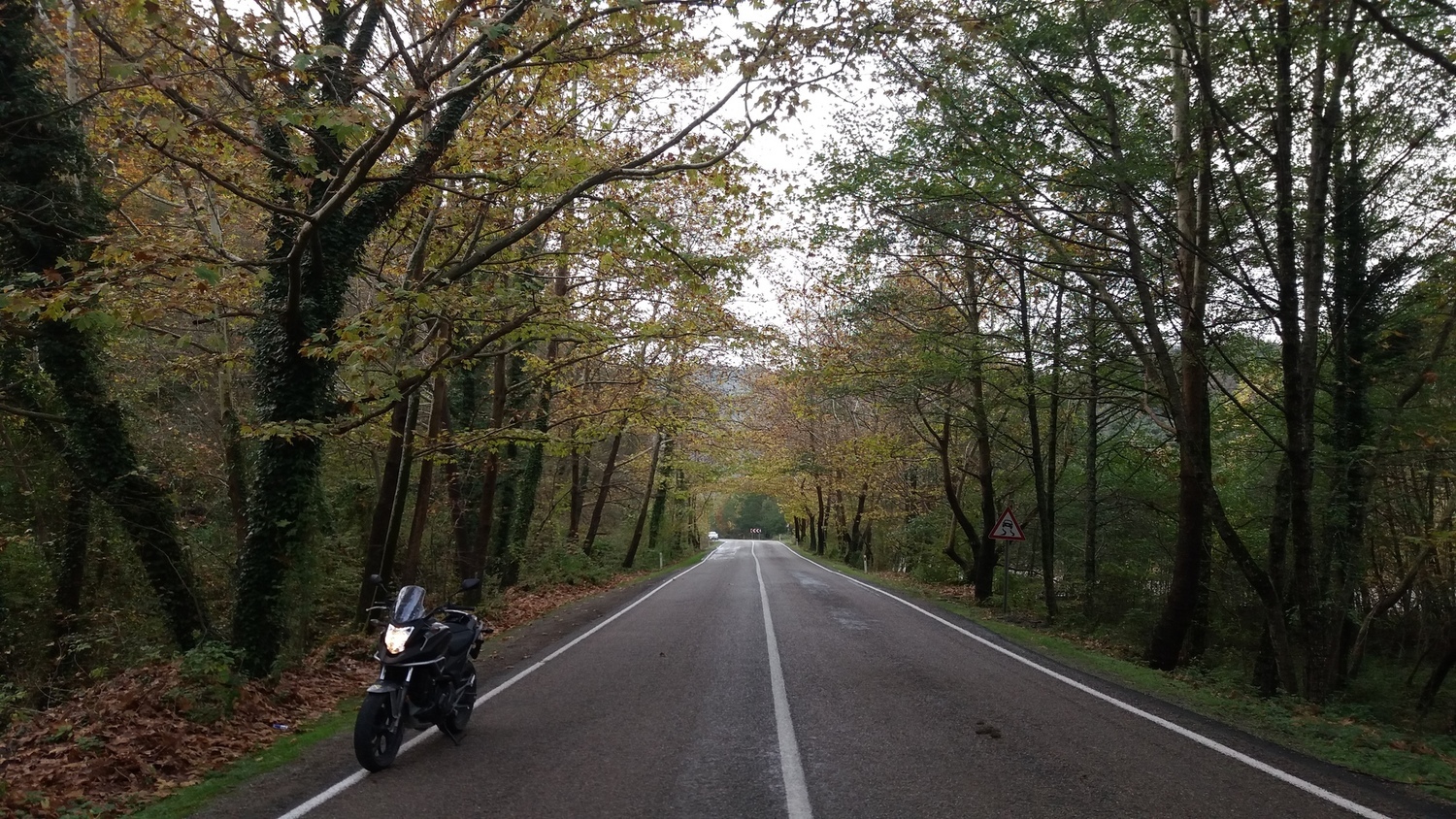 Photo 2795233