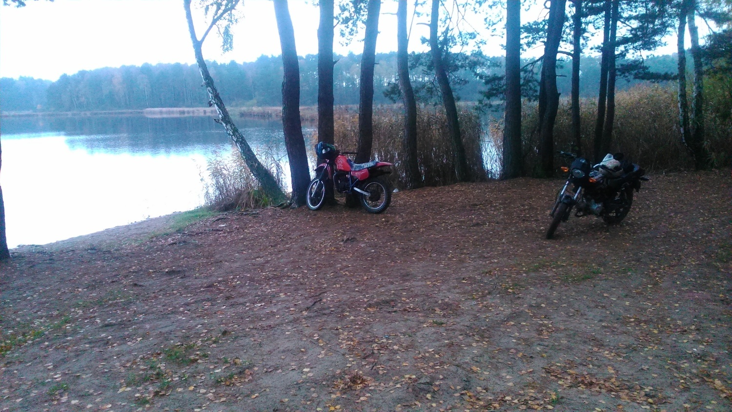 Photo 2795241