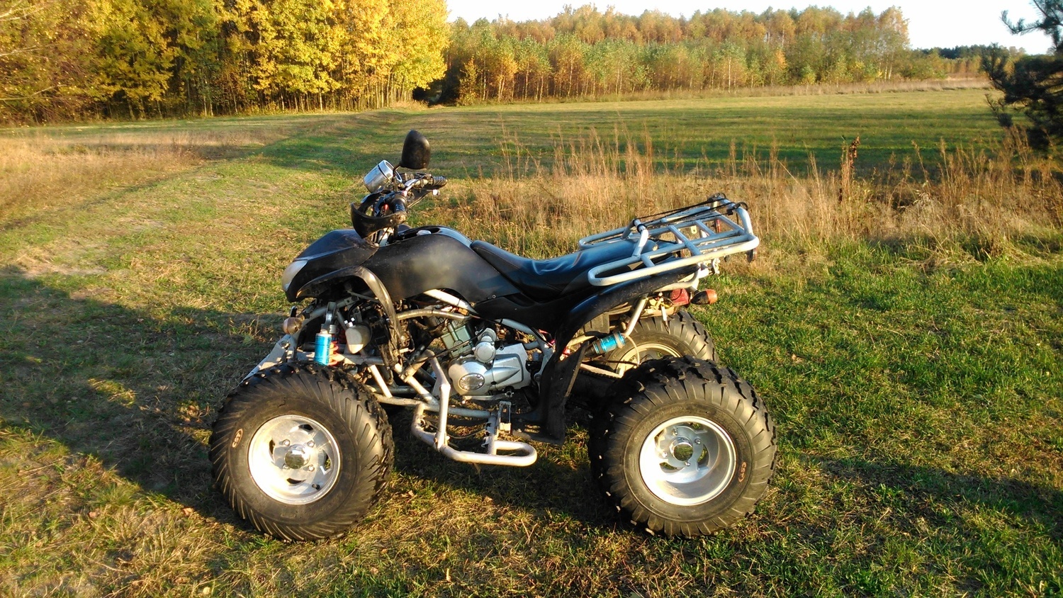 Photo 2795243