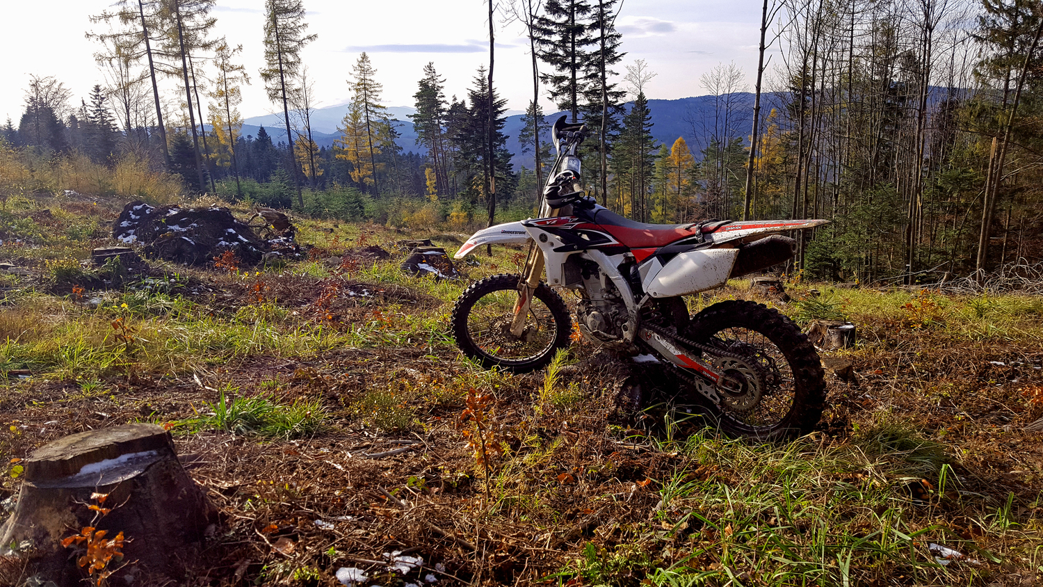 Photo 2795293