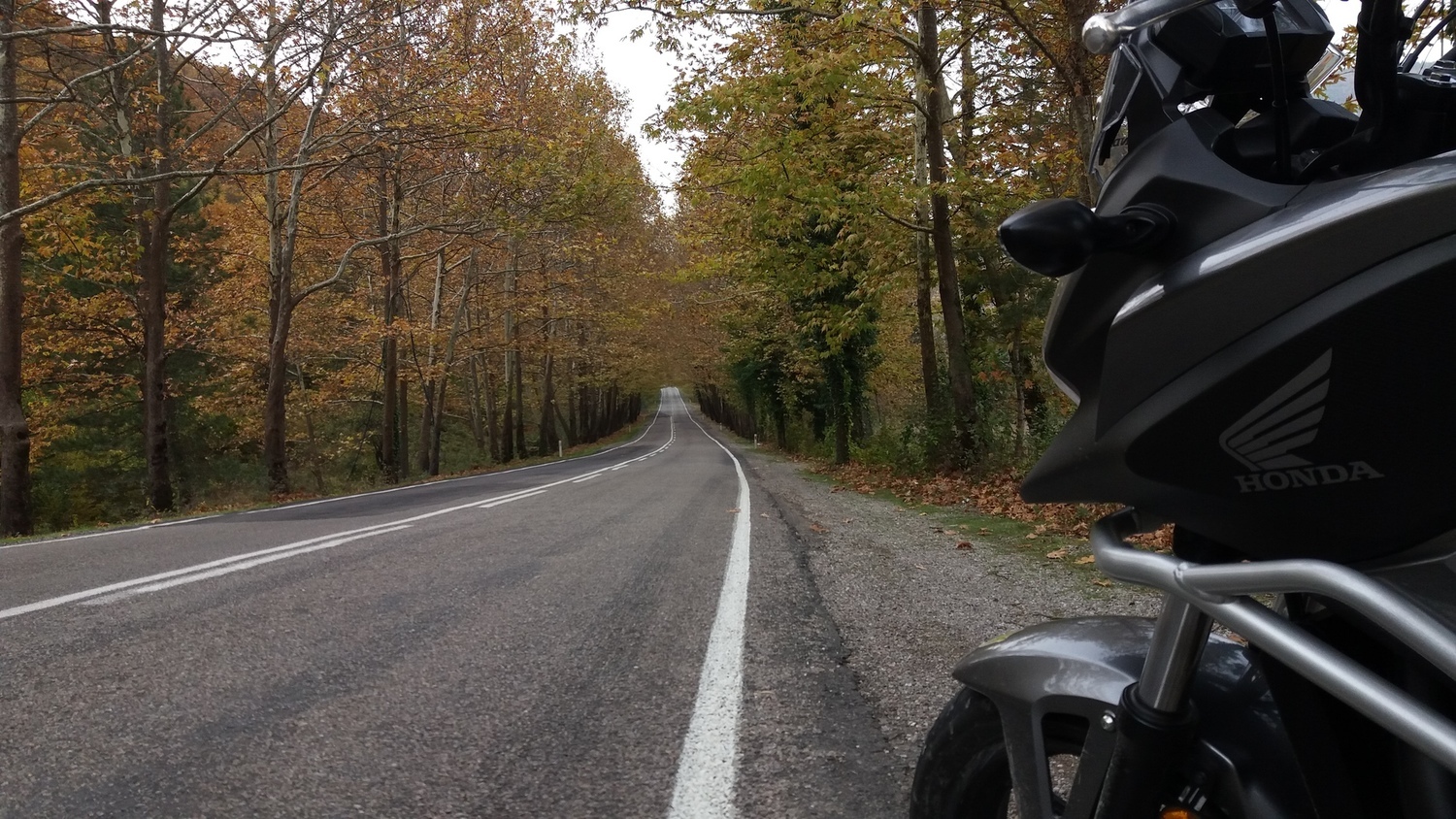 Bike Photo 2795434